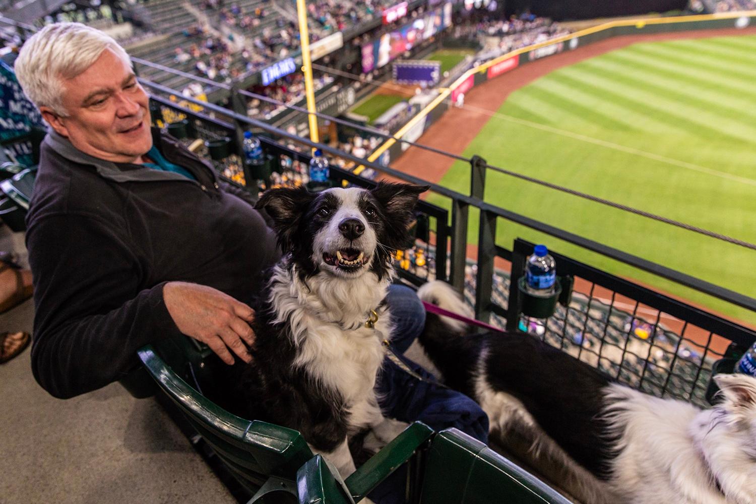 Photos Dogs steal the spotlight at Mariners' first Bark at the Park of