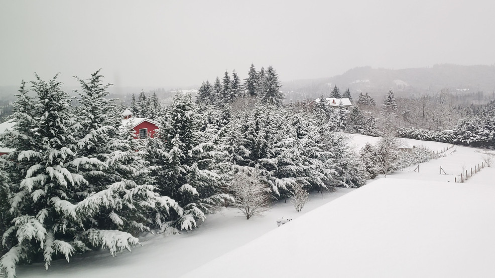 Oregon Cascades Mountains Winter Storm Warning in effect through Saturday