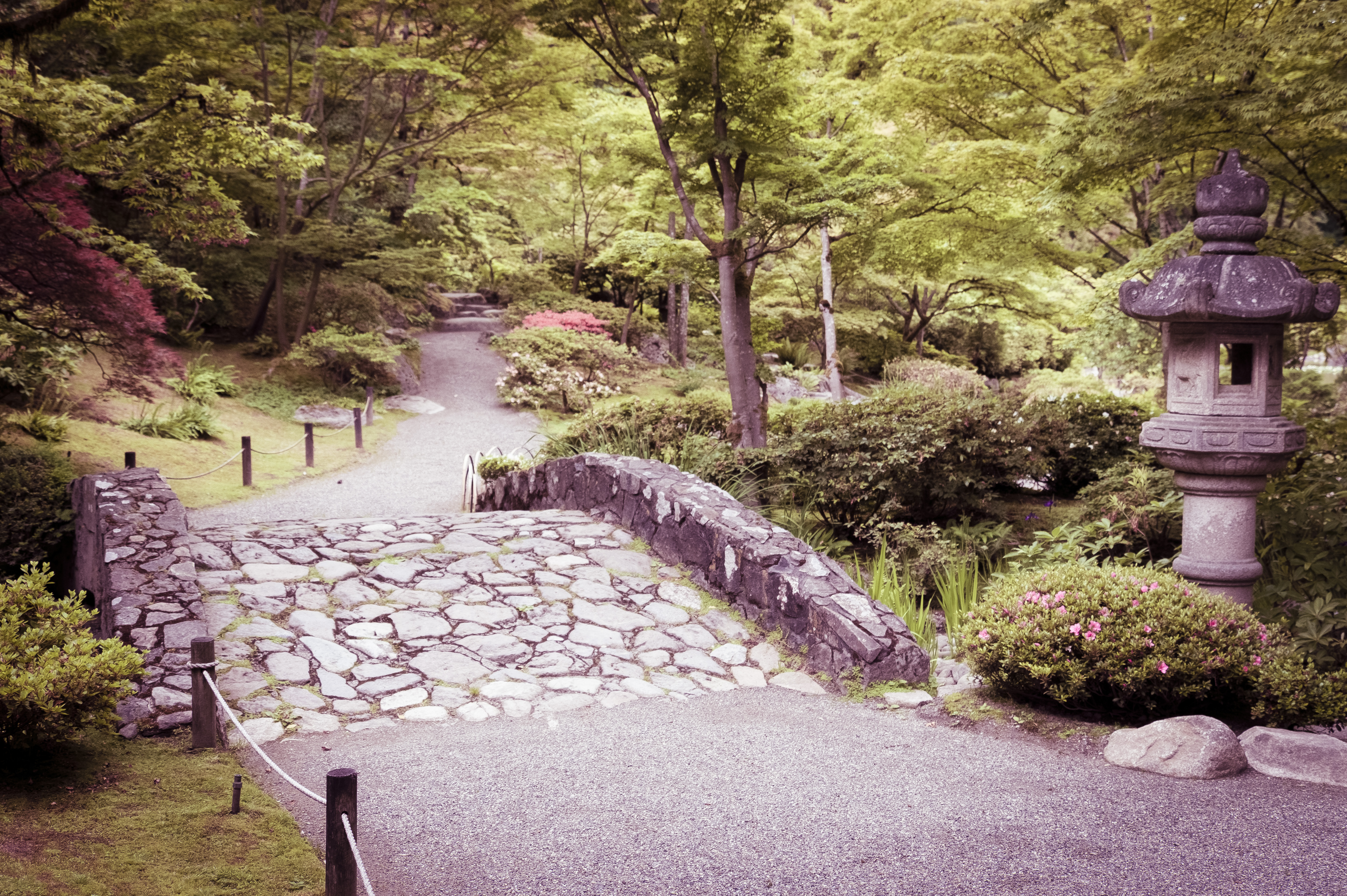 Happy 60th Anniversary to the Seattle Japanese Garden Seattle Refined