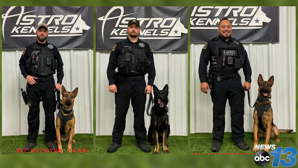 Sheriff's office 3 new K9 units, thanks to local 43K grant