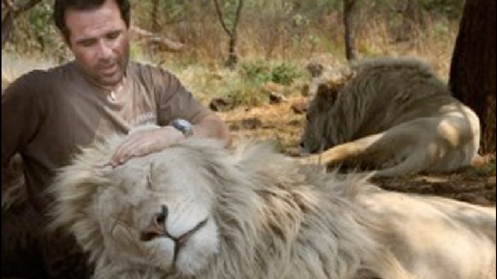 140808_lion.jpg