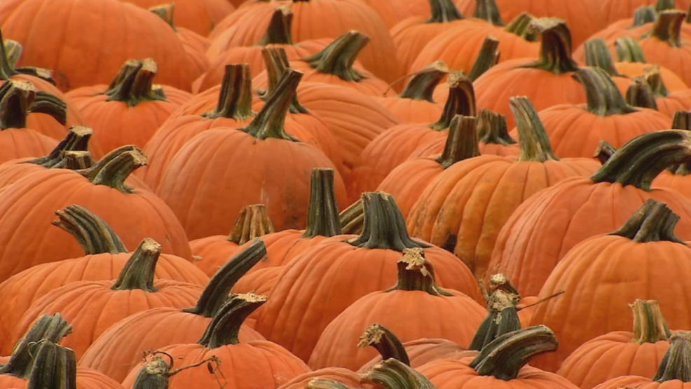 Rantoul may say goodbye to World Championship Pumpkin Chunkin' WICS