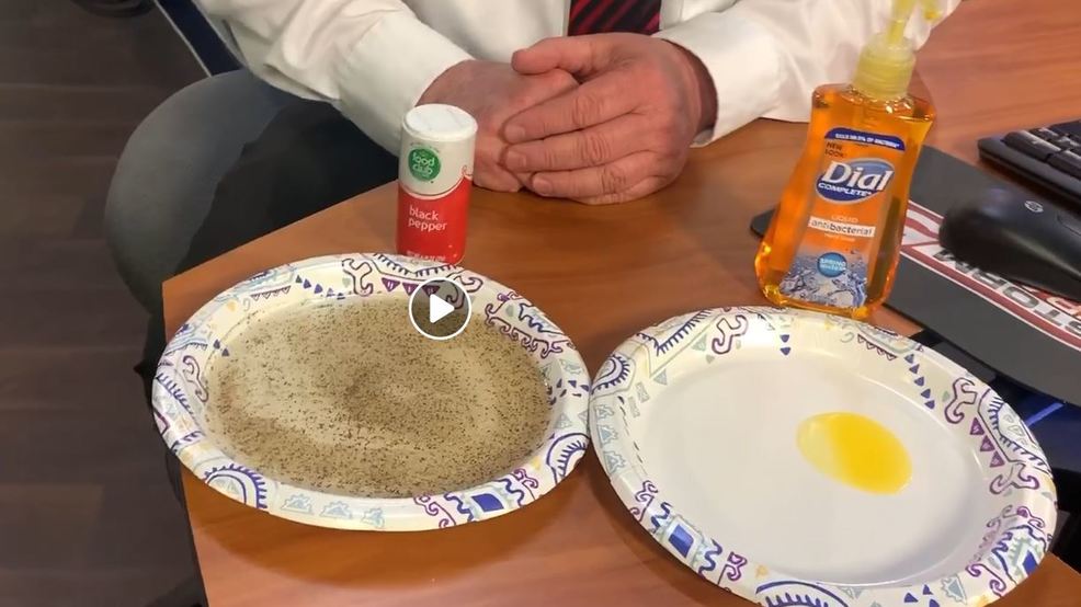 Popular Science Experiment Explained Why Does Soap Repel Pepper in