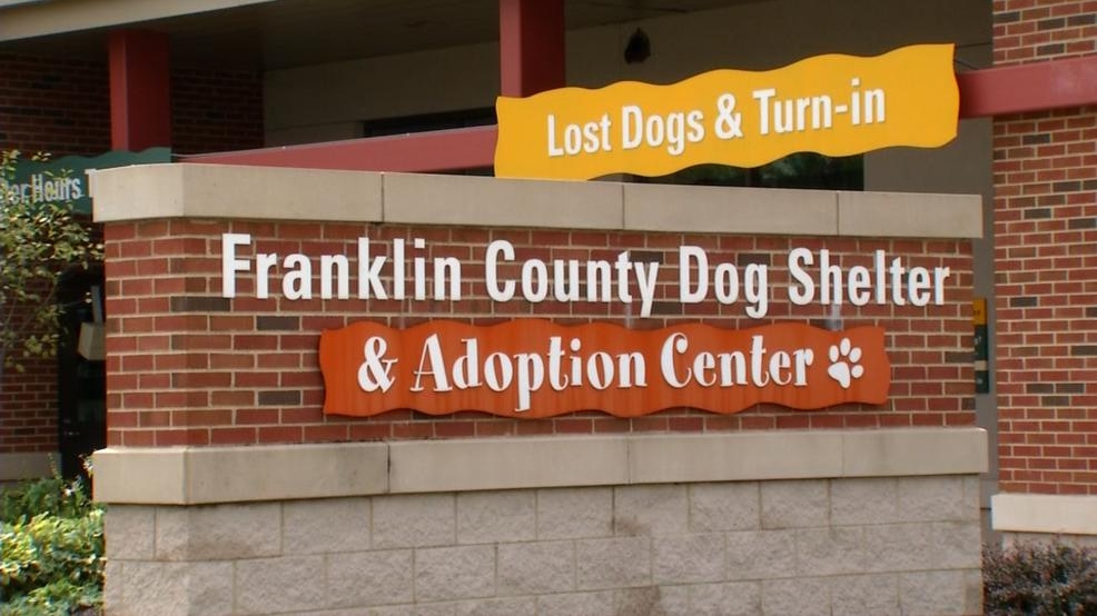 franklin township animal shelter