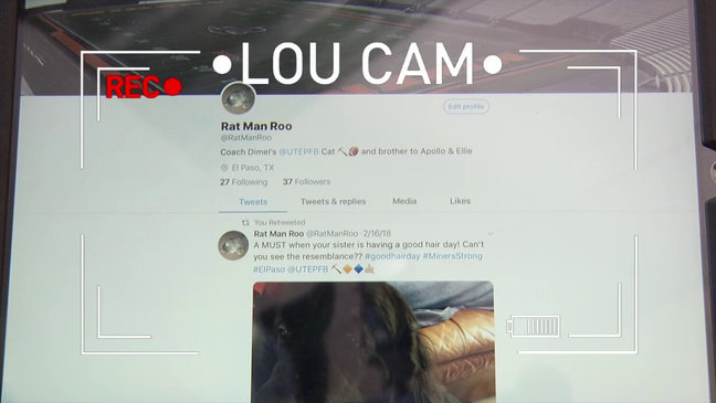  New UTEP football coach has Twitter page for his cat