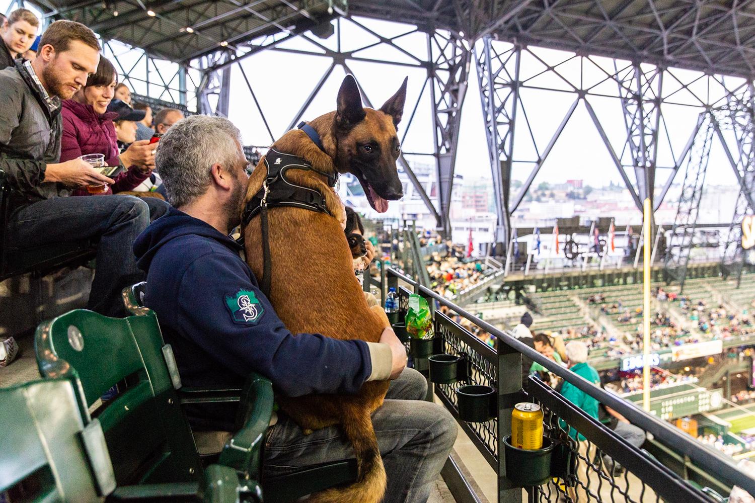 Photos Dogs steal the spotlight at Mariners' first Bark at the Park of