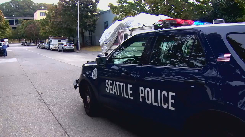Seattle Police patrol car FTP19 JOEL 11PM PKG North Precinct Burglaries JOSH_frame_1760.jpg