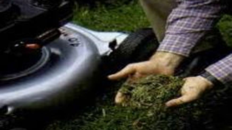 Report Motorcyclist dies after grass clippings left on road WZTV