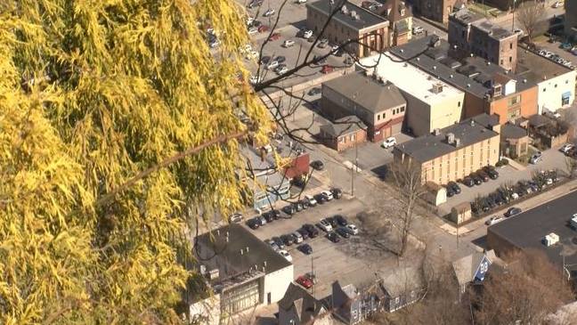 Making a Difference: Teaming up to plant more trees in Johnstown