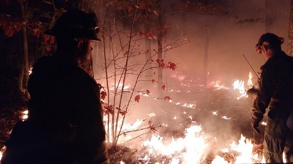 Tennessee Gov. issues 51county burn ban amid wildfires, drought