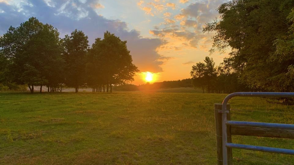 The Weather Authority Warm, humid days ahead with scattered storms WBMA