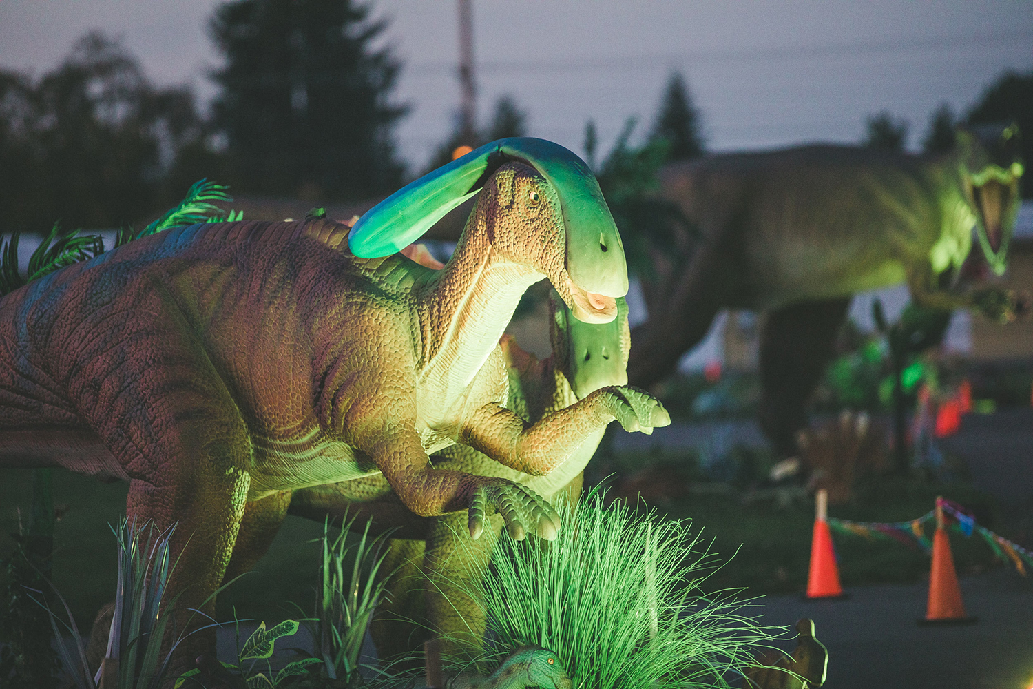 dinosaur fair