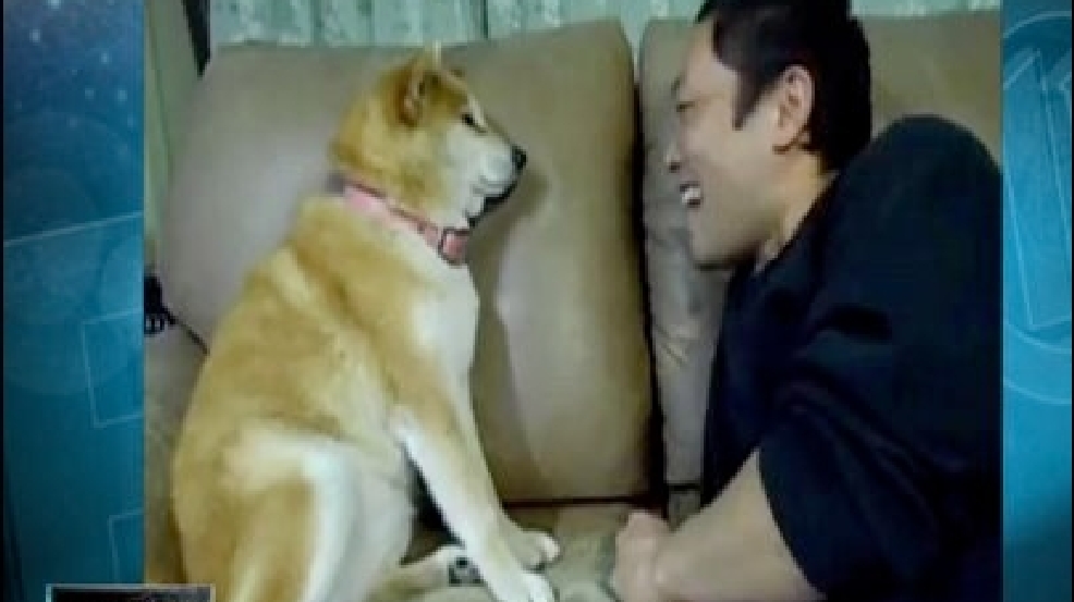 130503_dog_affection.jpg