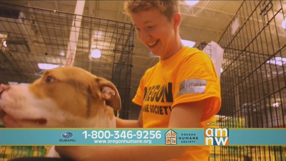 OHS Telethon Disaster Responders.png OHS Telethon Disaster Responders.png