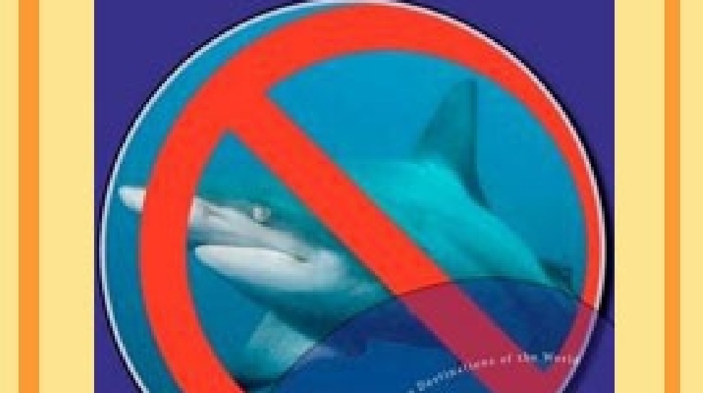 Swim-Without-Sharks.jpg