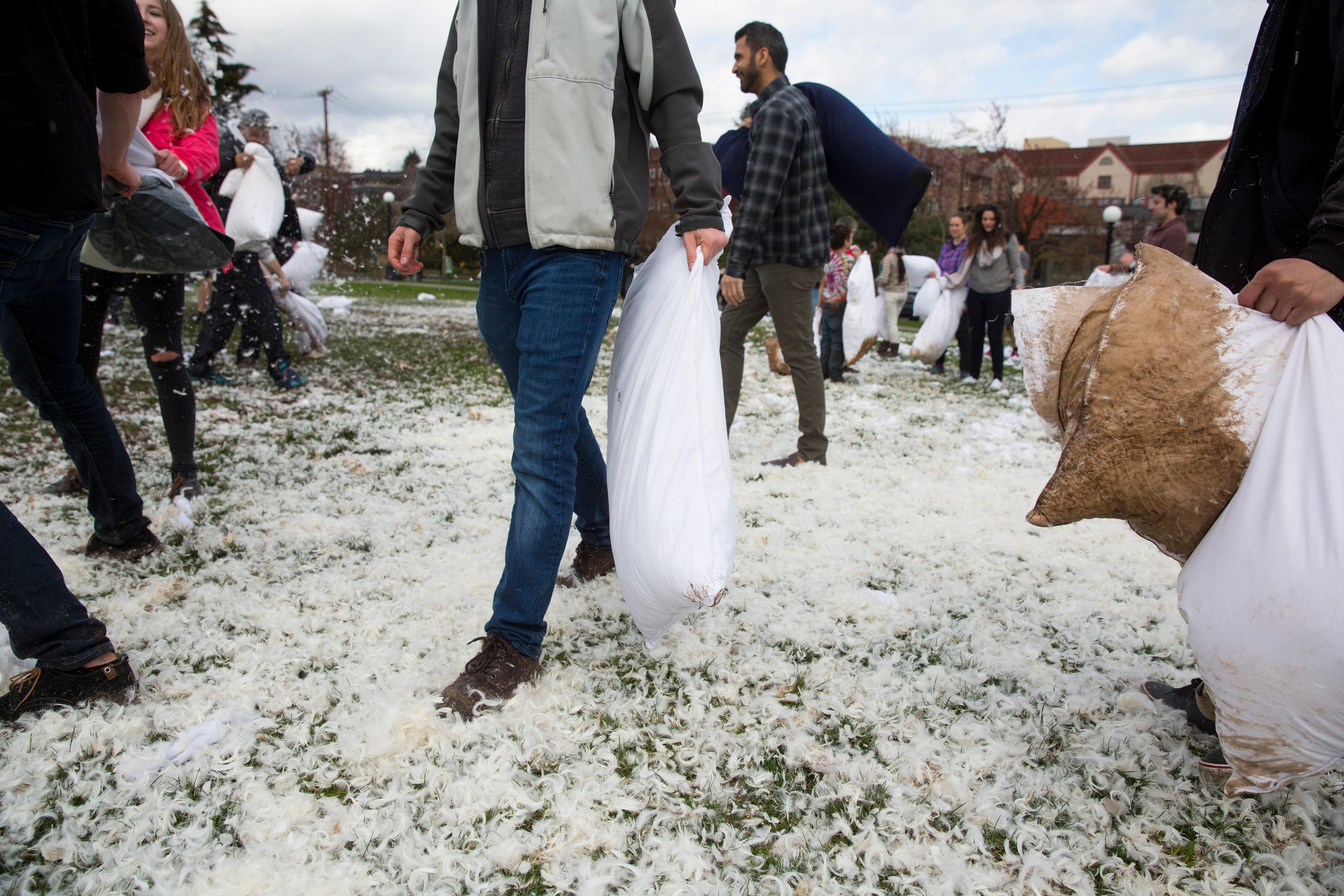 Photos PILLOW FIGHT! Seattle Refined