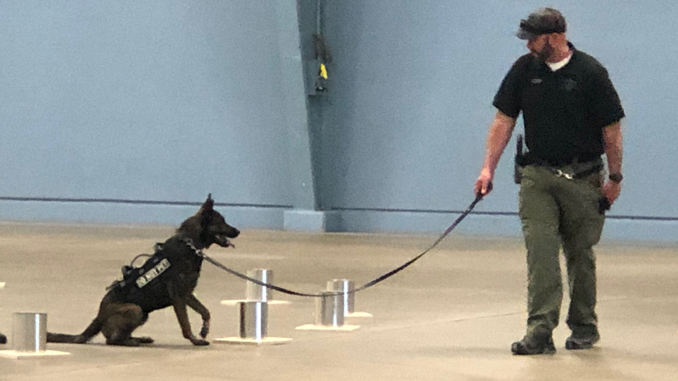 Oklahoma K9 teams participate in odor recognition training KTUL