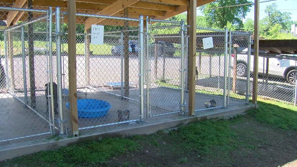 Adoptions at the Marshall County Animal Shelter will have a different