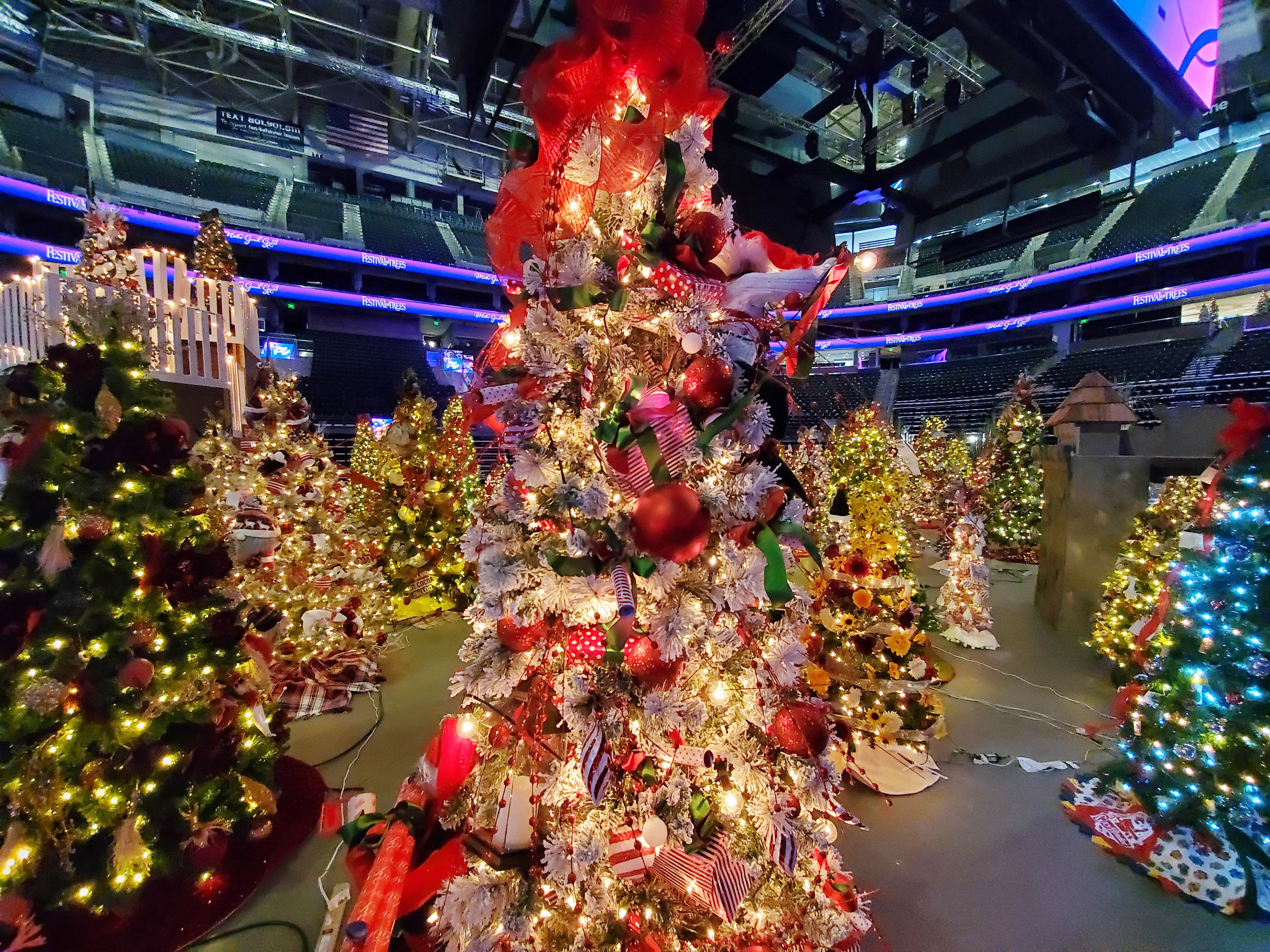 Premier broadcast for 50th Annual Festival of Trees fundraiser happens