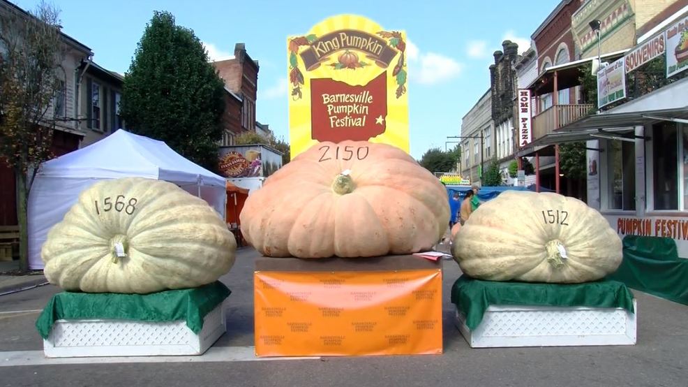 Barnesville Pumpkin Festival officially kicks off WTOV