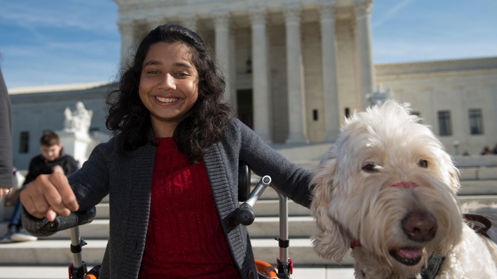 Supreme Court Service Dog Supreme Court Service_Summ.jpg