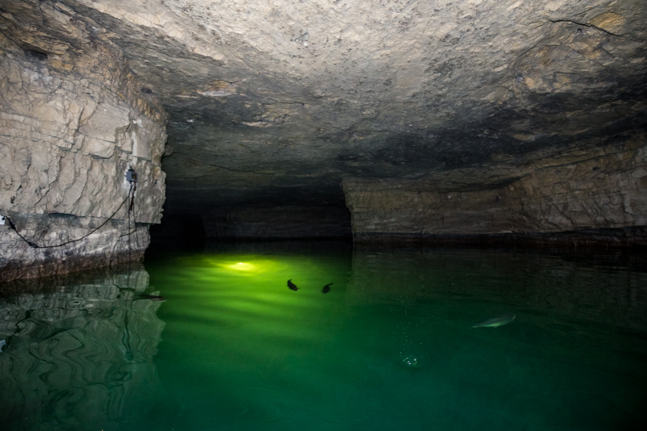 Descend Into a Dark Old Mine Via Kayak or Paddle Board 2 Hours From