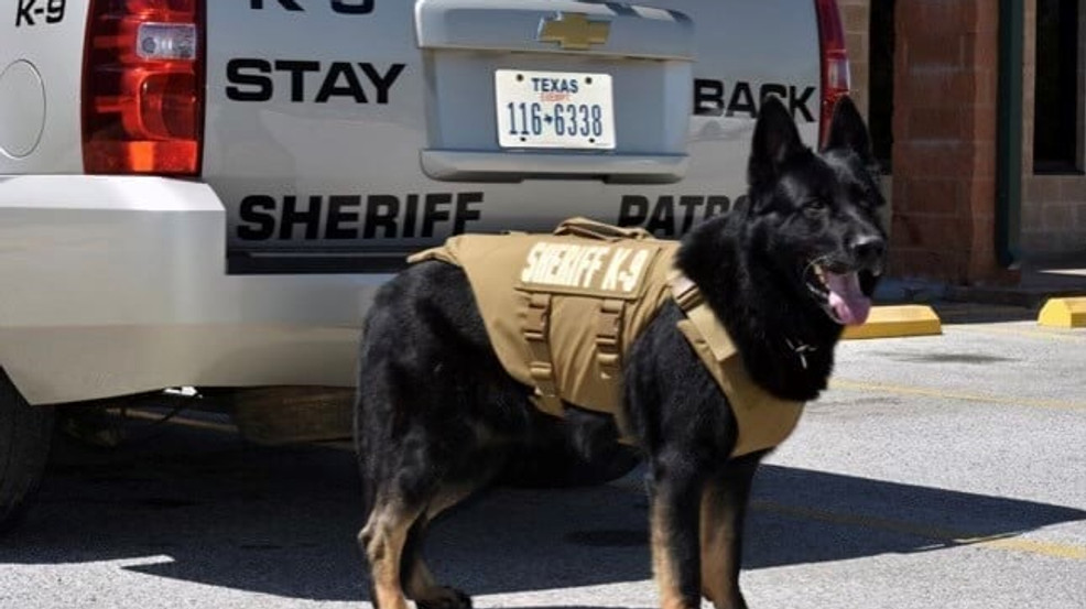Lavaca County Sheriff's Office mourns passing of K9 Deputy 'Brix' after