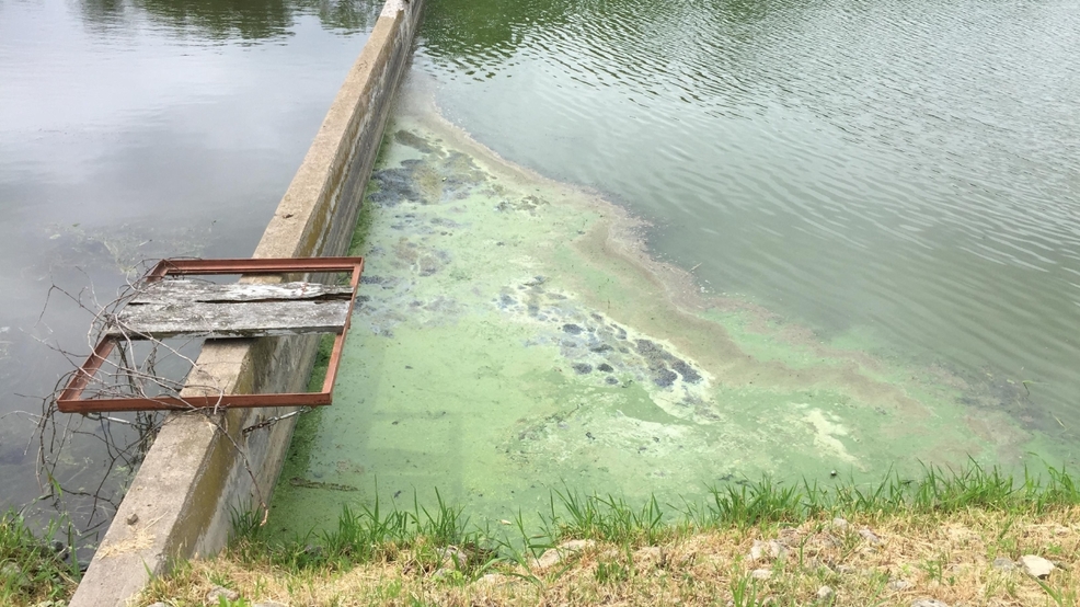 Toxic algae blooms found in Lake Cascade and Lake Lowell KBOI