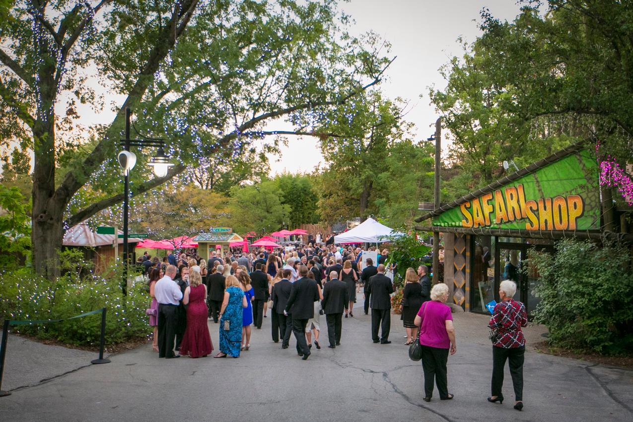 Zoofari 2018 Was All about a Journey through the Arctic Cincinnati