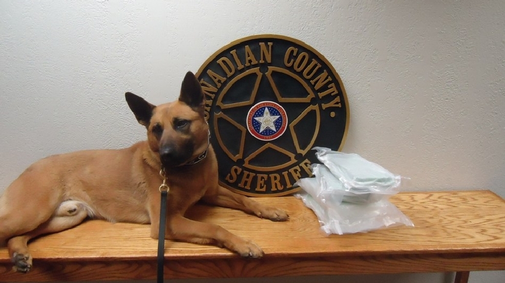 Canadian Co. drug dog sniffs out over 200,000 in cocaine KOKH