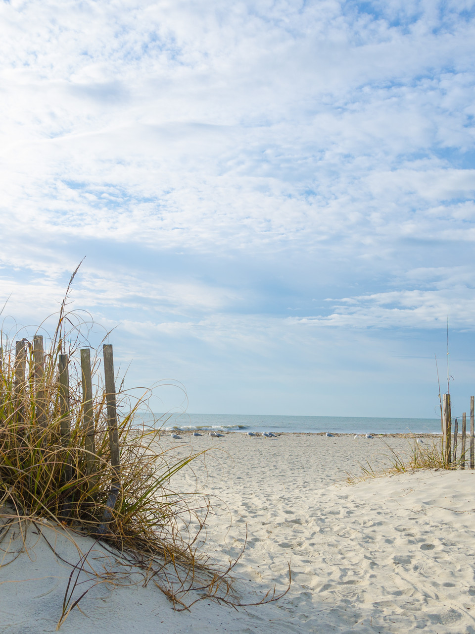 Hilton Head Island Beaches To Reopen Friday Wtgs Hilton Head Island Beaches To Reopen