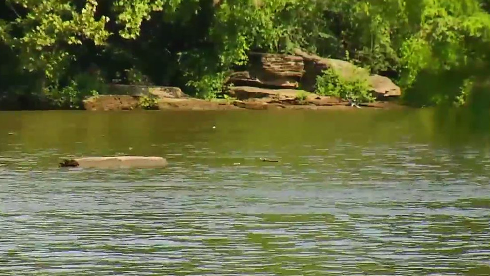 Nonprofit Claims Over 33 Million Gallons Of Sewage Released Into Middle Tennessee River WZTV
