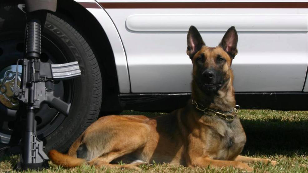 illinois state police k9